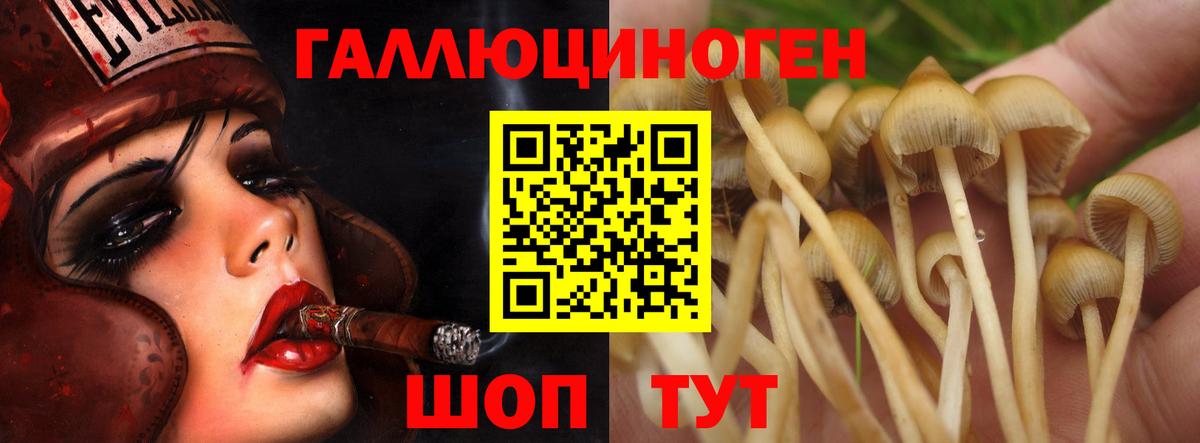 Псилоцибиновые грибы Psilocybine cubensis  Вход с VPN  Балтийск 